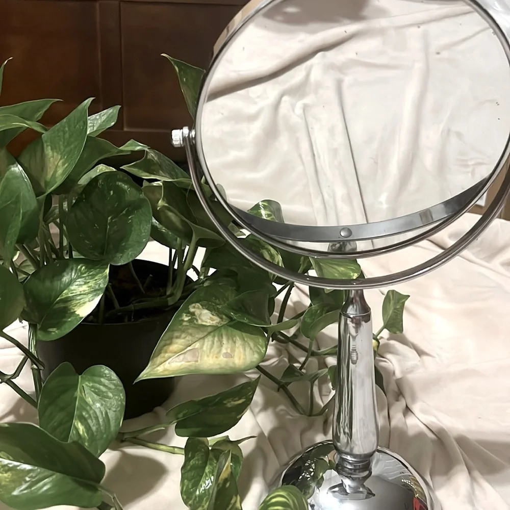 Dual Makeup Vanity Mirror